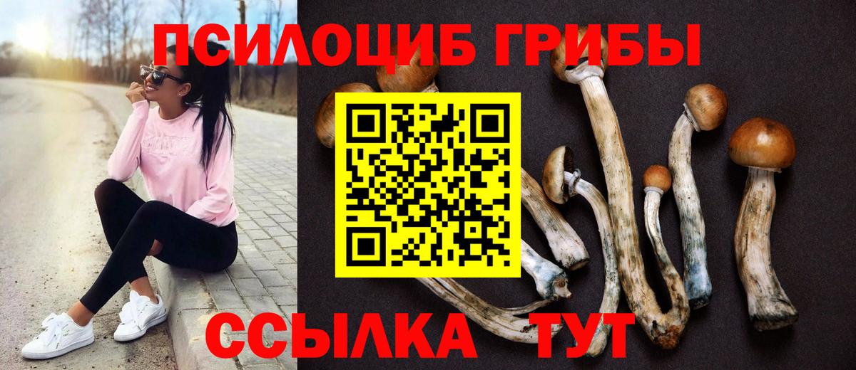 Амфетамин Заводоуковск
