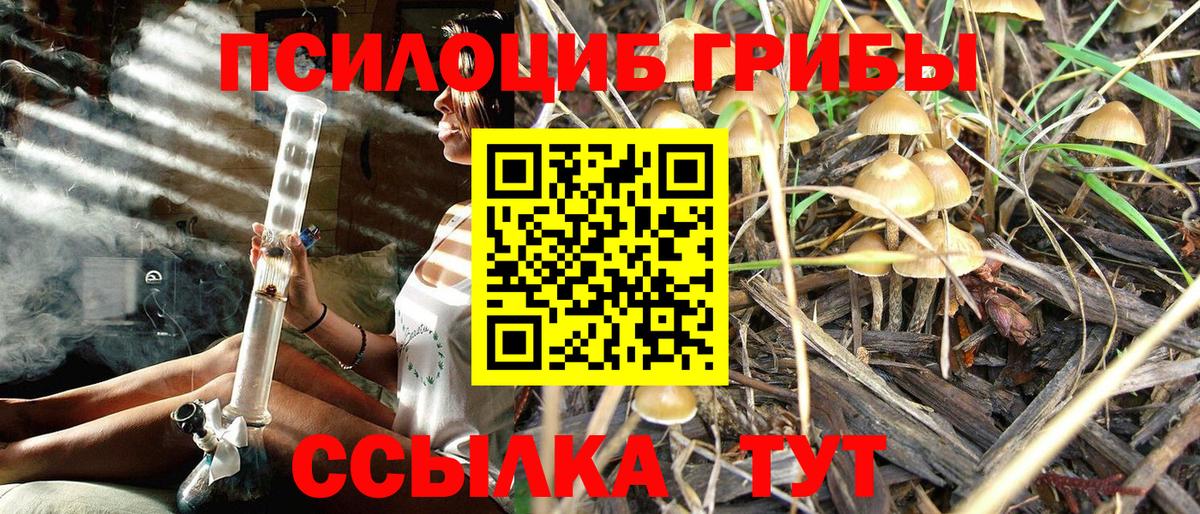 Псилоцибиновые грибы мухоморы Заводоуковск
