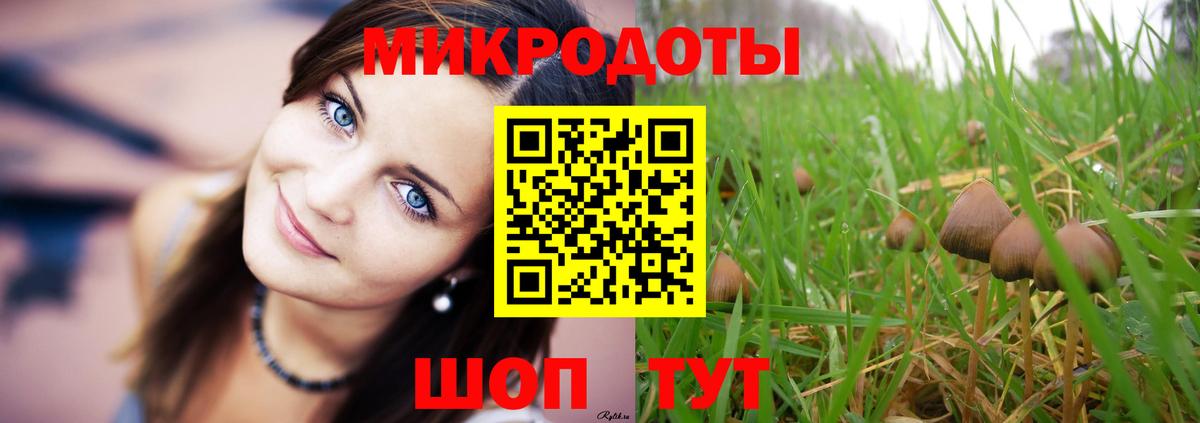 Галлюциногенные грибы Cubensis  наркотики  Галлюциногенные грибы Psilocybe  Заводоуковск  Вход с VPN 